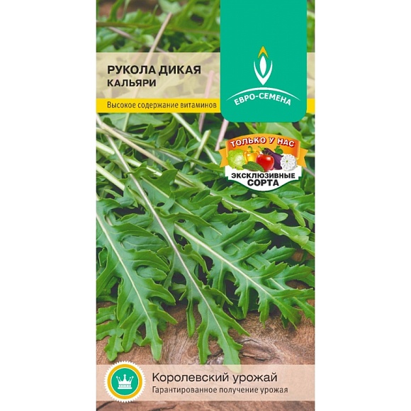 Семена зелени, Рукола Кальяри дикая скороспелая, 0,5 гр, ЕВРО-СЕМЕНА